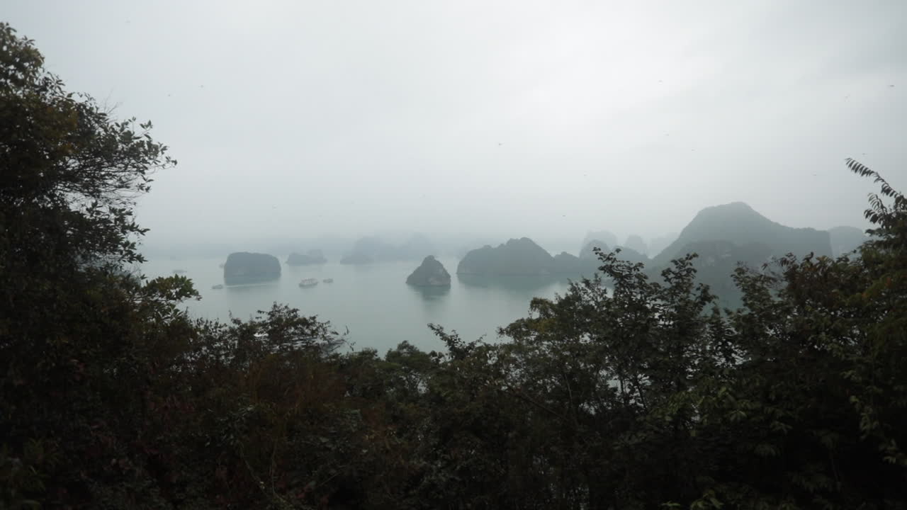 Misty view of Halong Bay islands and calm water seen through dense trees on an overcast day