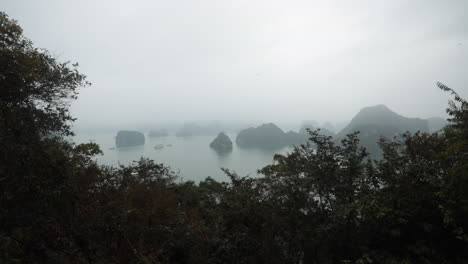 misty view of halong bay islands and calm water seen through dense trees on an overcast day