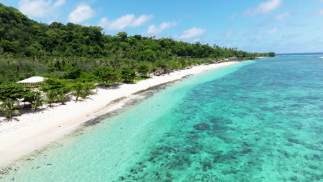 untouched white sand beach of lalomanu surrounded by picturesque thickets of tropical greenery in samoa