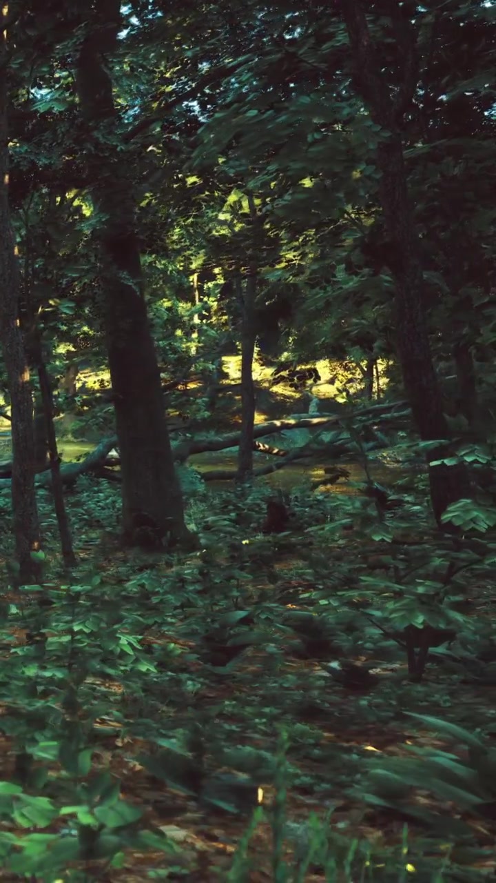 La luce del sole filtra tra gli alberi in una serena foresta durante l'ora d'oro