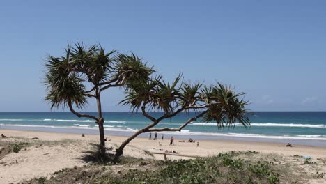 scenic beach view with people enjoying the outdoors