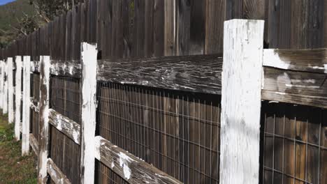 wooden fence adjacent to chicken wire wooden fence painted white with chipping paint