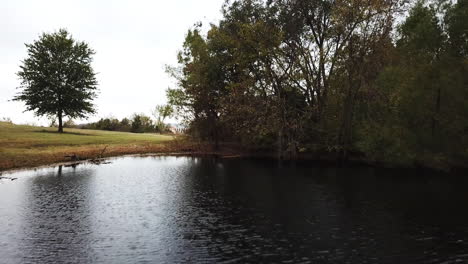 aerial drone shot over with beautiful lake surrounded green grasslands with trees on a cloudy day