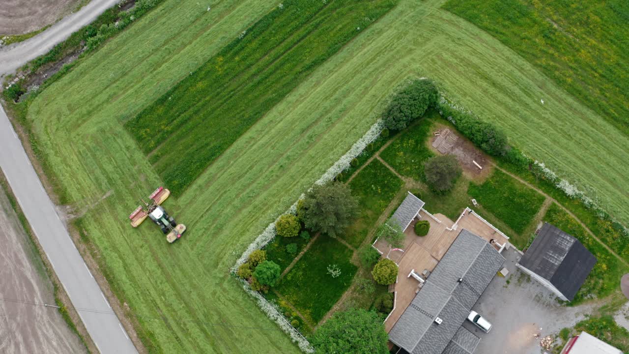 Tractor In Field Mows Grass - aerial top down