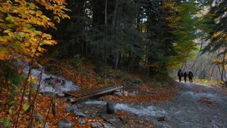 sentier de randonnée d'automne avec pont en bois