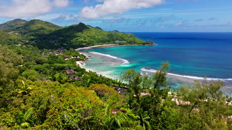 mahè tropical exotic island: camera moving through vegetation unveiling the coastline