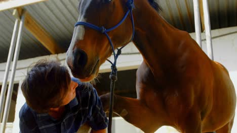 Mujer-Acariciando-Caballo-4k