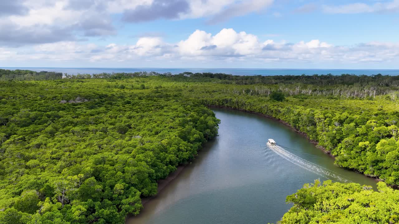Drone follows small boat navigating winding river in vibrant mangrove rainforest under bright daylight
