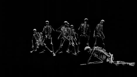 Skeleton-Gruppentanz---Moment---Nacht