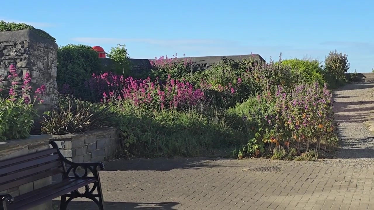Oud kusthuisje en kleurrijke tuinplanten.