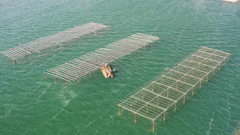 Close-to-distant-aerial-view-over-a-flat-bottomed-oyster-boat-with-fishermen