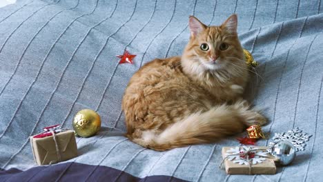 lindo gato de jengibre tendido en la cama con regalos de año nuevo en papel de artesanía. hogar acogedor fondo de vacaciones de navidad