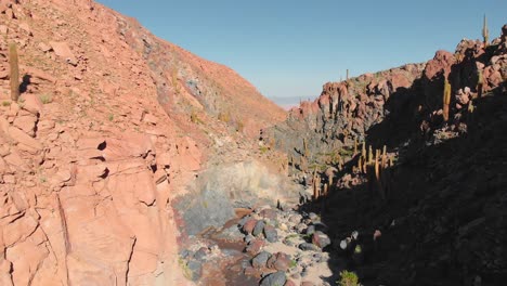 Aerial-cinematic-shot-inside-a-popular-giant-cactus-canyon-trekking-spot-near-San-Pedro-de-Atacama-in-the-Atacama-Desert,-northern-Chile,-South-America
