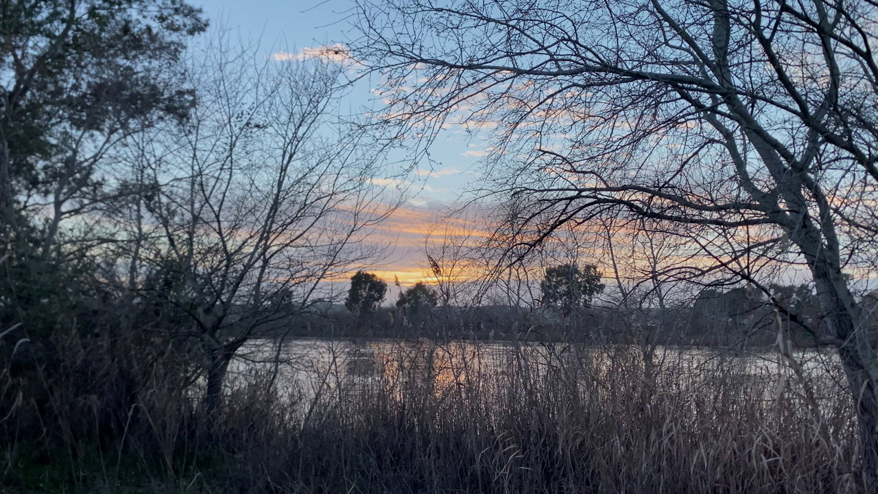 Tranquil Seville river water reflecting warm sunset colors, framed by bare winter trees and dry marshland grasses