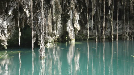 Cenote-08