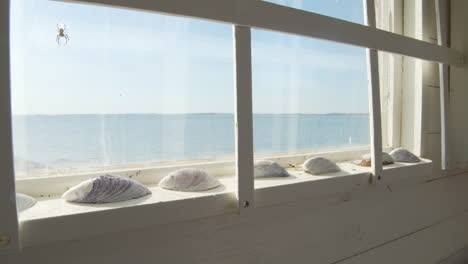 a window in a seaside cabana decked with mussel shells and a spider sitting in its web