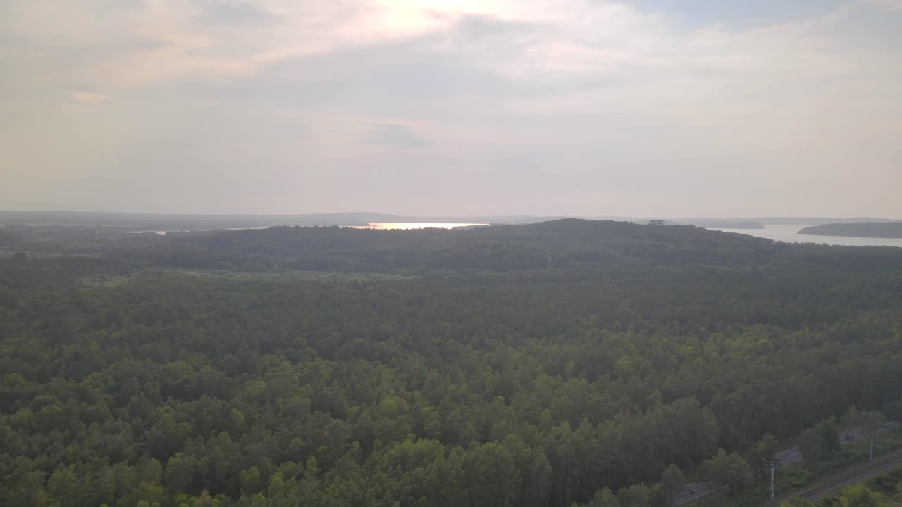 Drone shot over the lush forests of Rügen with a shimmering view of the sea beneath a cloudy sky.