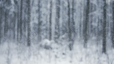 winter landscape during snowfall. winter christmas abstract background on super slow motion.