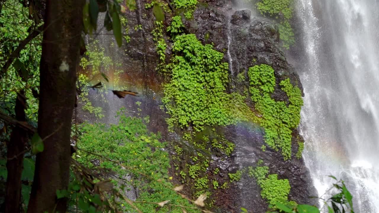 una vista impresionante de una cascada exuberante y verde rodeada de follaje verde y rocas de musgo, que desciende en cascada en una piscina serena