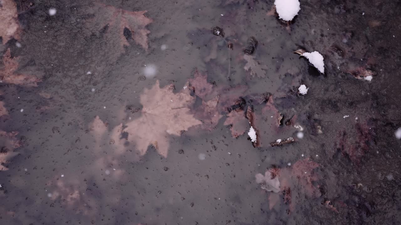 Snowflakes falling at the frozen water with fallen leaves in the forest, close up