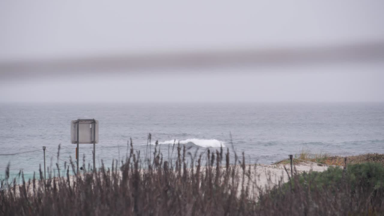 바다 해변 모래 언덕, 캘리포니아 안개 해안, 안개, 비가 오는 날씨, 차가운 바다