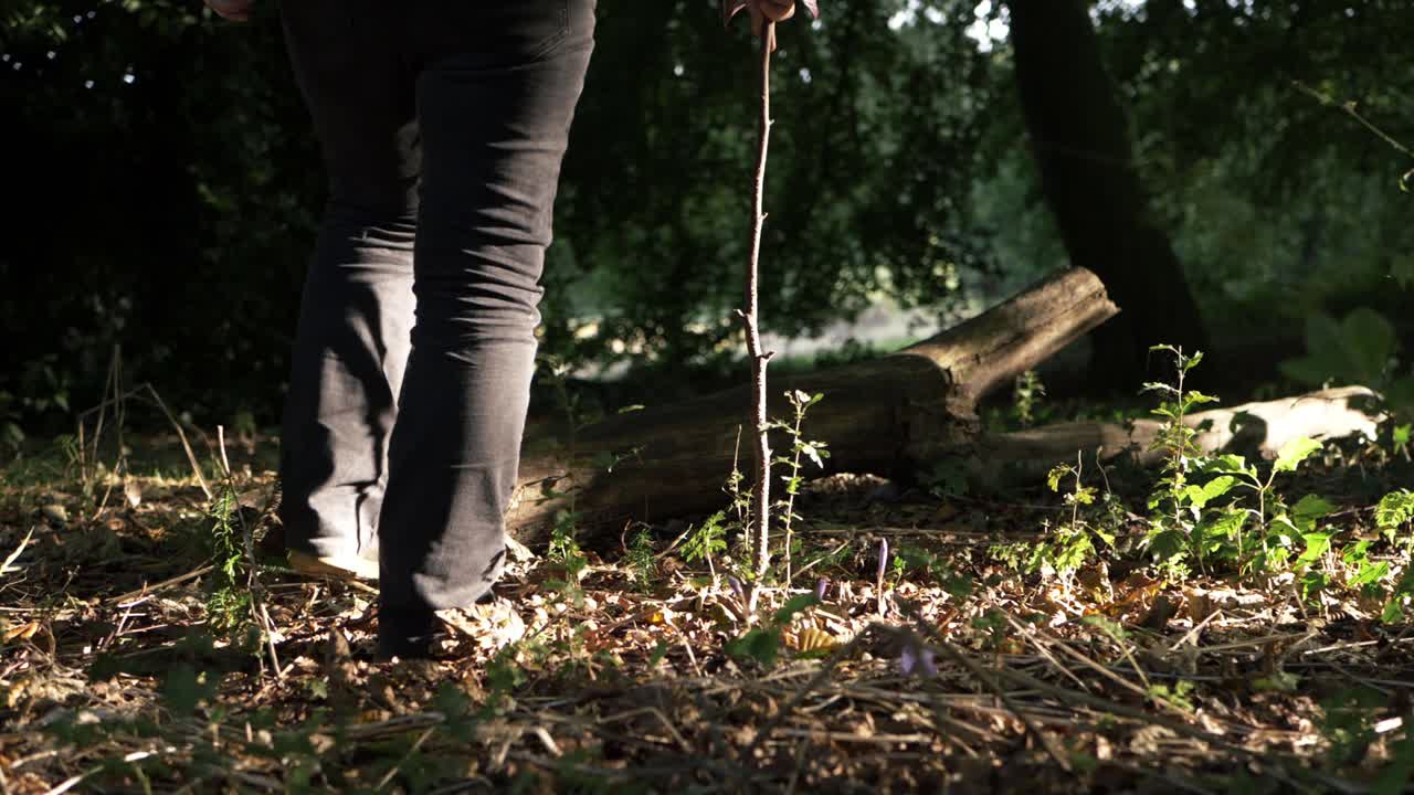 excursionista caminando a través del dosel del bosque con un palo de tiro medio