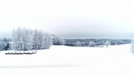 perfect winter landscape