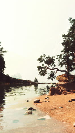 peaceful lake with trees and rocks