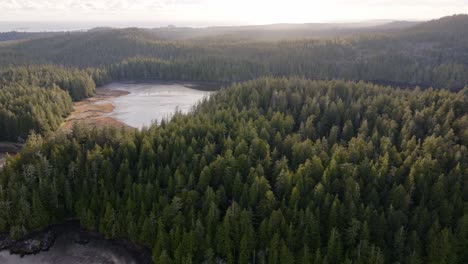 coastal forest in british columbia canada with ocean and sun