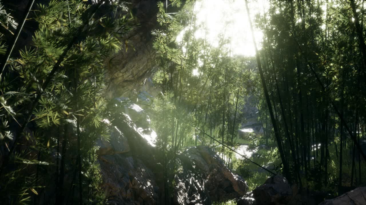 돌이 있는 연못의 연안 근처에 있는 울창한 초록색 대나무 잎.