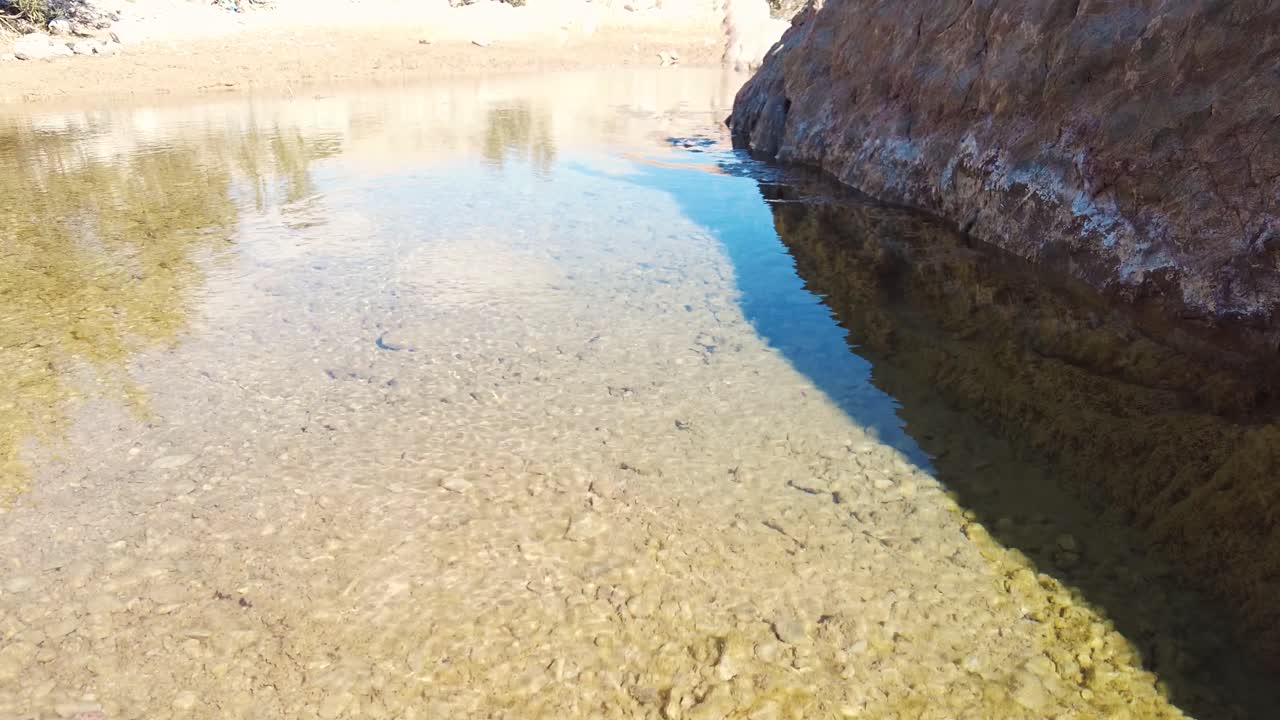 un cañón con un río entre montañas y palmeras