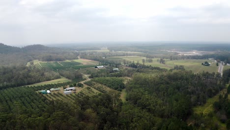 Farm-Fields-Surrounded-With-Green-Woods-At-Glass-House-Mountains-In-Sunshine-Coast,-Australia