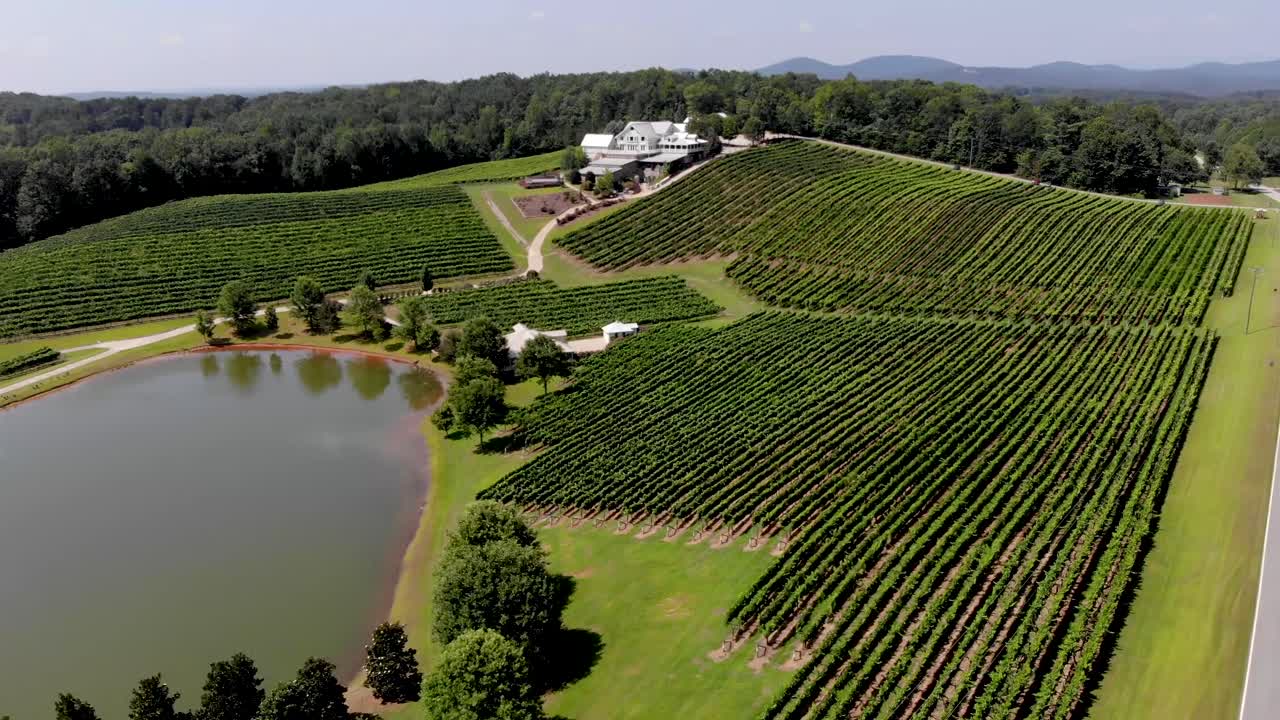 Aerial view of vineyard in Georgia