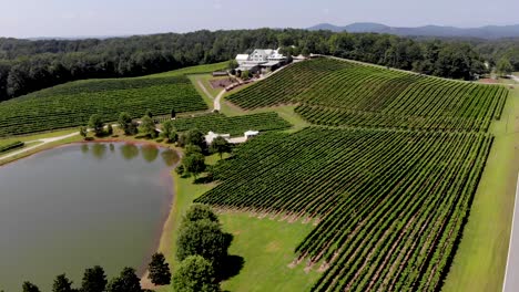 Aerial-view-of-vineyard-in-Georgia