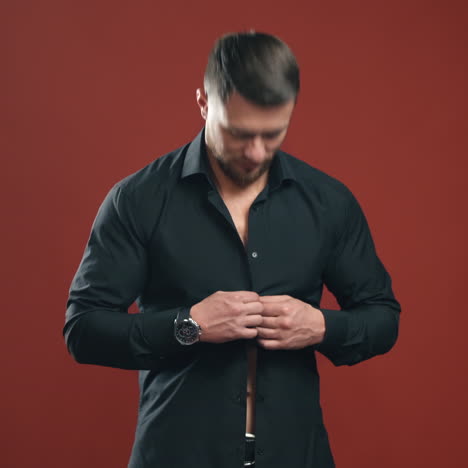 sexy man in black shirt. handsome male unbuttons his shirt and shows his naked torso on dark red studio background. bearded man with sporty body indoors.
