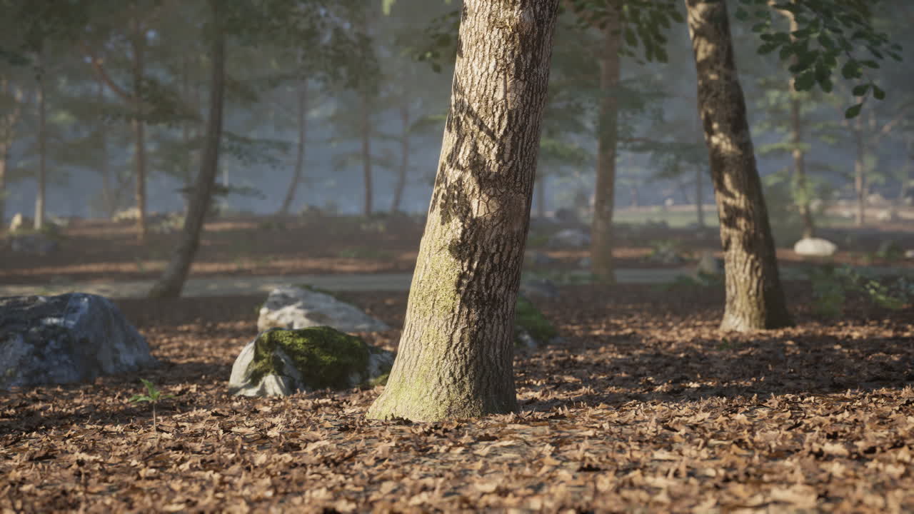 Detailed view of a tree within a serene forest landscape during daytime
