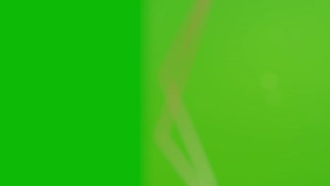 floral green screen background with pink flowers