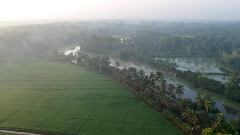 asian paddy field village,sky,sun beam reflection ,river,aerial shot,irrigation,mist,mangroves,water,sunrice