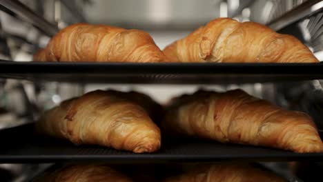 Croissants-Recién-Horneados-En-Bandejas-En-Una-Panadería,-Primer-Plano