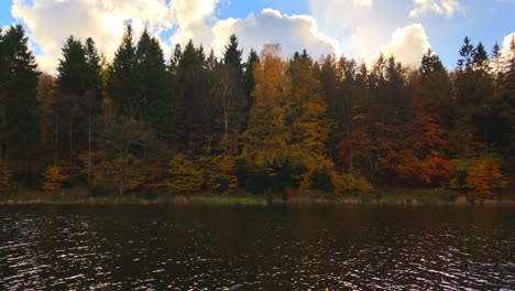298-Goldener-Herbstwald-In-Der-Nähe-Des-Sees