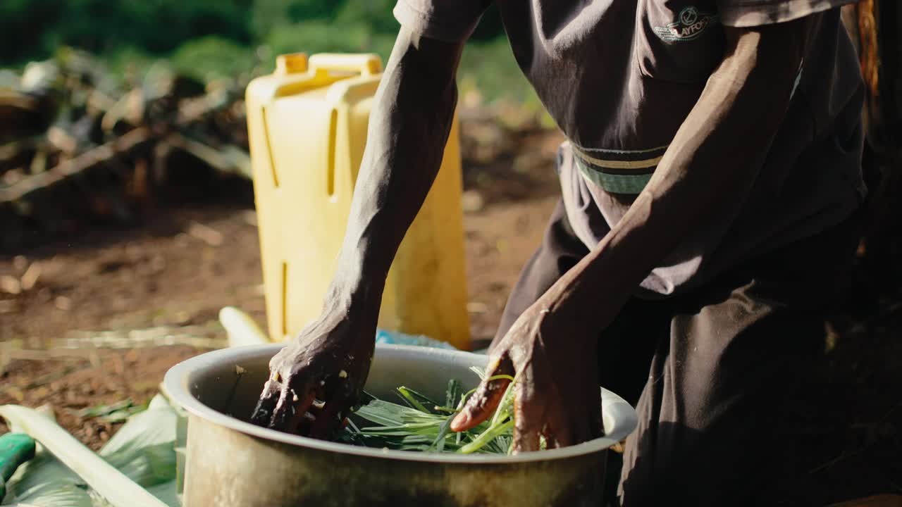 African man crushing mbidde bananas, the juice will be fermented to make beer