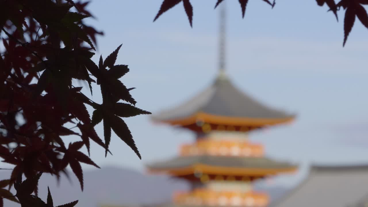 Slow panning shot over bokeh Pagoda in Kyoto at Kiyomizudera during fall