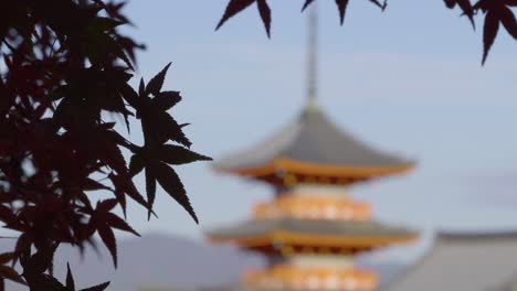 slow panning shot over bokeh pagoda in kyoto at kiyomizudera during fall