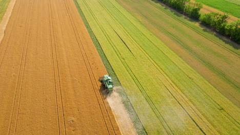 Cosechadora-Cosechando-Un-Campo-De-Trigo-En-Verano---Toma-Aérea-De-Drones