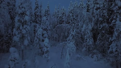 El-Paisaje-Invernal-Helado-De-Hanhimaa-En-Finlandia