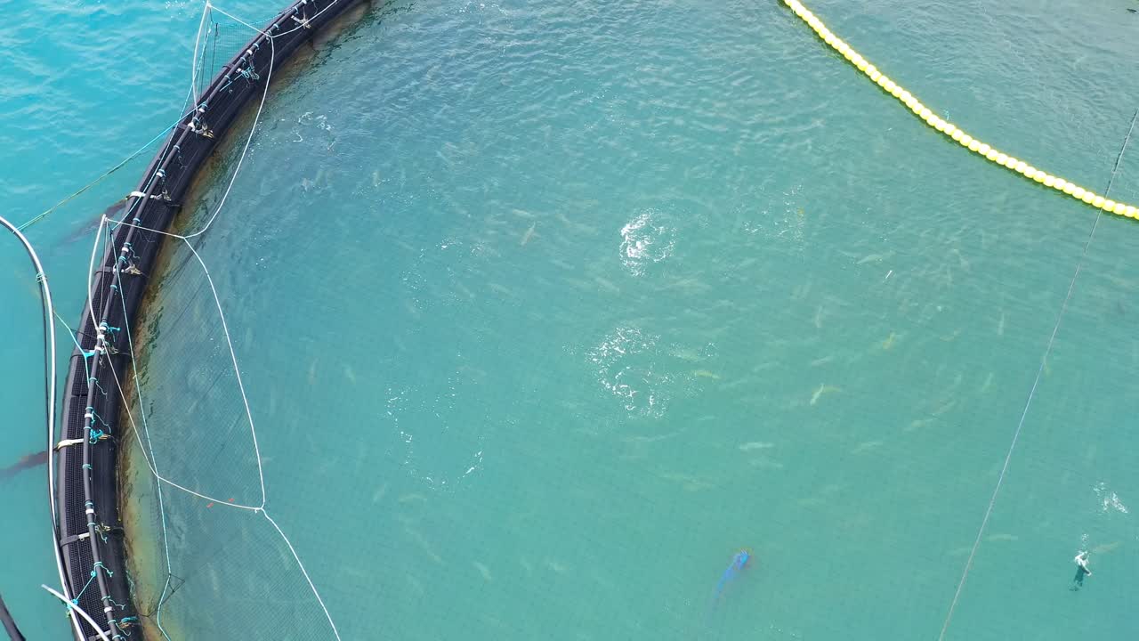 노르웨이에서 연어  ⁇ 시를 하는 공중 촬영