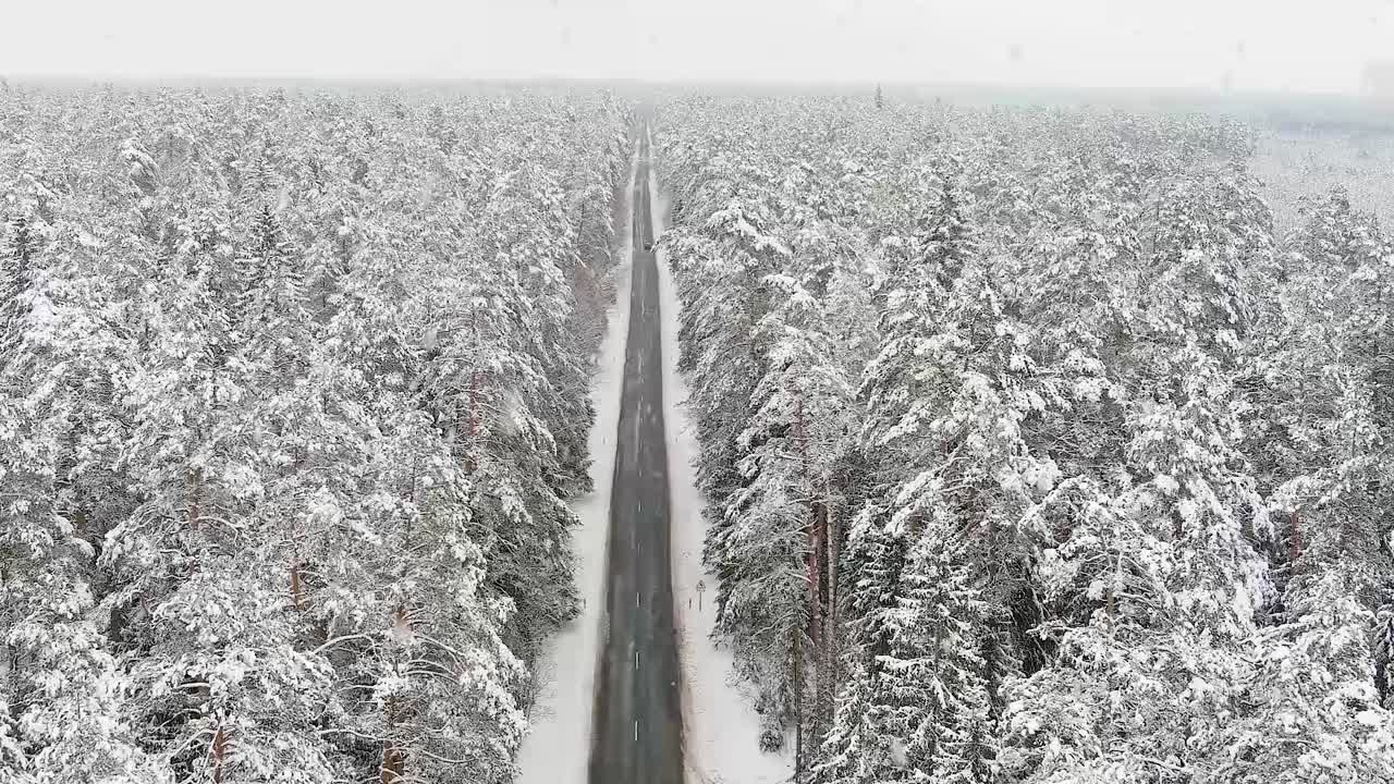 강설 중 크리스마스 느낌 삼림 지대 풍경과 도로, 조감도