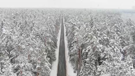 Sensación-De-Navidad-Paisaje-Boscoso-Y-Carretera-Durante-Las-Nevadas,-Vista-Aérea