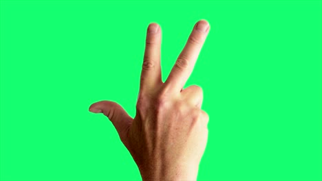 close up shot of a male hand throwing a classic gang sign, against a greenscreen background ideal for chroma keying