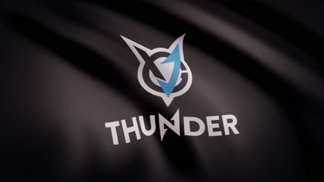 el logotipo del equipo thunder.
